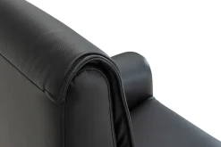 CAESAR PLUS Reclinerfåtölj 2 motor LiftUp Large läder Soleda/skai 441 svart m värme