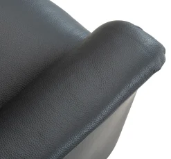 CAESAR PLUS Reclinerfåtölj 2 motor LiftUp Large läder Soleda/skai 441 svart m värme