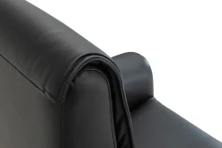 CAESAR PLUS Reclinerfåtölj 2 motor LiftUp Large läder Soleda/skai 441 svart m värme & elman.nacke