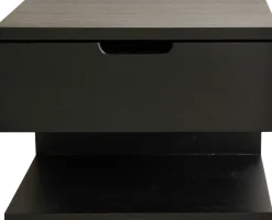 FRIZZANTE sängbord/hylla för vägg svart, svartlackad ek